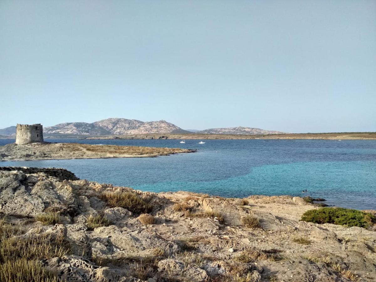 Aquilone Διαμέρισμα Badesi Εξωτερικό φωτογραφία